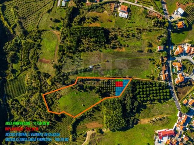 Terreno em Évora de Alcobaça