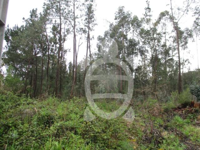 Terreno em Ega