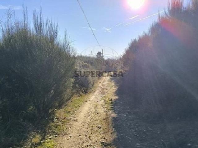 Terreno em Eiras, São Julião de Montenegro e Cela