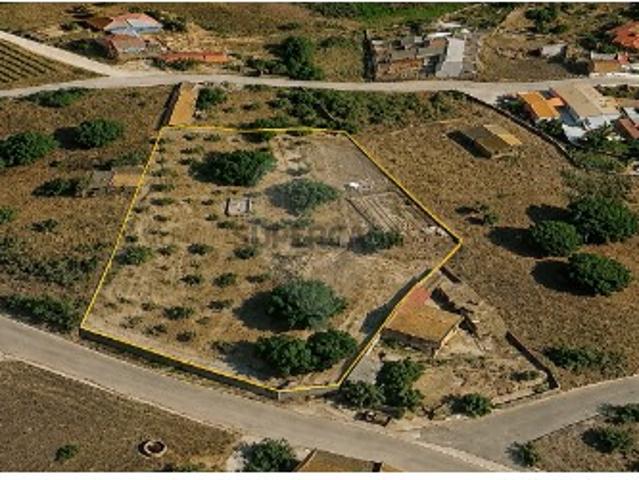 Terreno em Ereira e Lapa