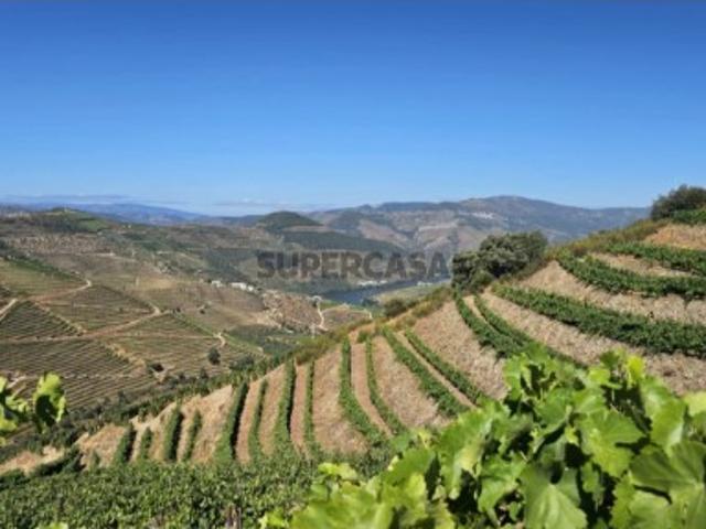 Terreno em Ervedosa do Douro