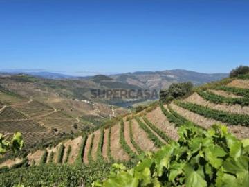 Terreno em Ervedosa do Douro