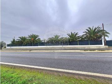 Terreno em Ervidel