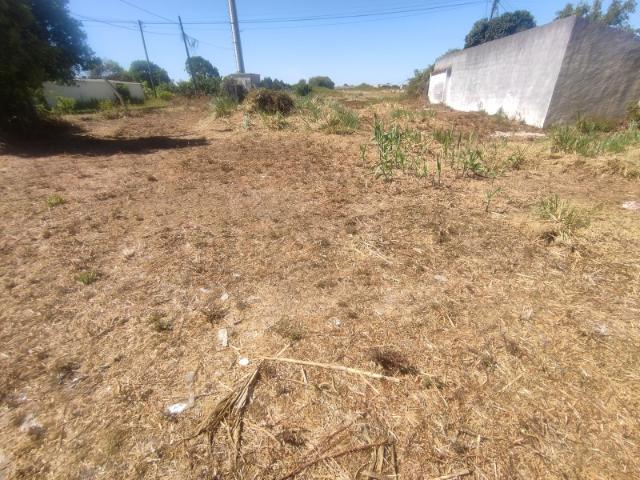 Terreno em Esgueira Mataduços
