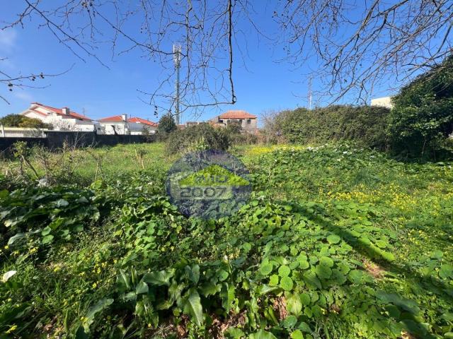 Terreno em Esmoriz