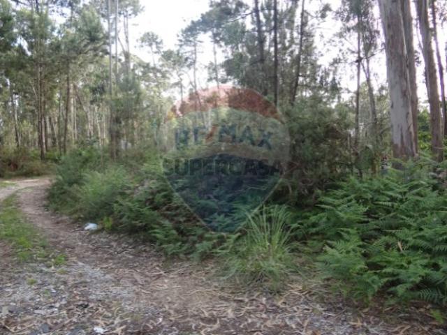 Terreno em Espinho