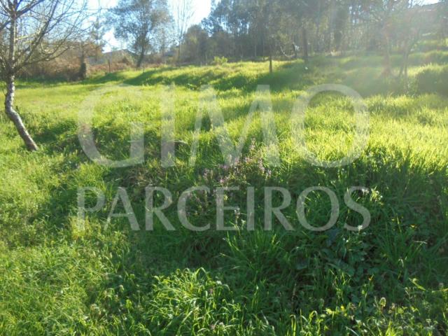 Terreno em Espinhel