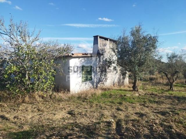 Terreno em Espírito Santo, Nossa Senhora da Graça e São Simão