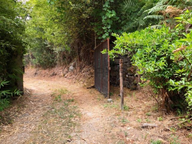 Terreno em Estorãos Fafe