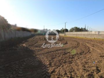 Terreno em Estela