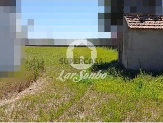 Terreno em Estela