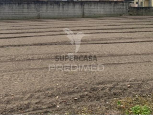 Terreno em Estela