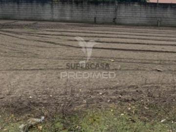 Terreno em Estela