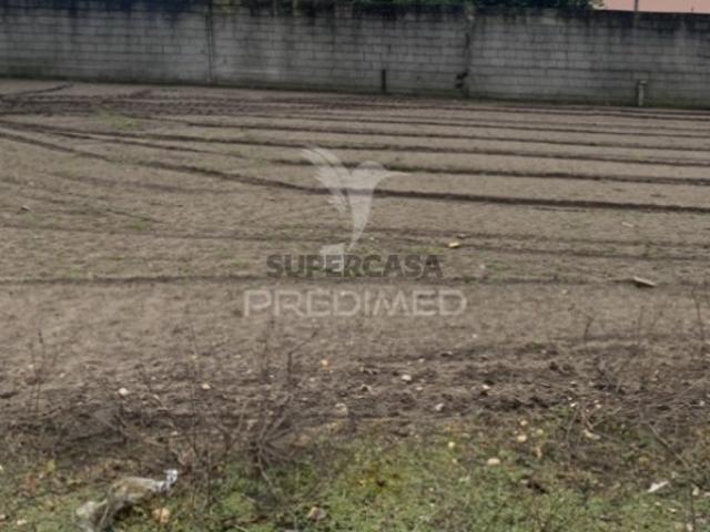 Terreno em Estela