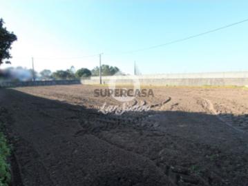 Terreno em Estela