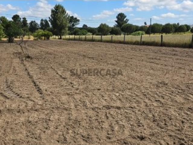 Terreno em Fajarda
