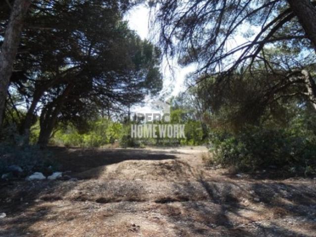 Terreno em fase de urbanização na Costa da Caparica