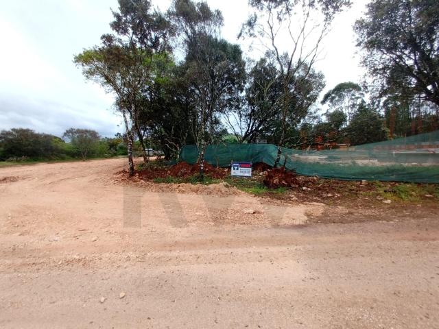 Terreno em Fatima no lugar de Châ