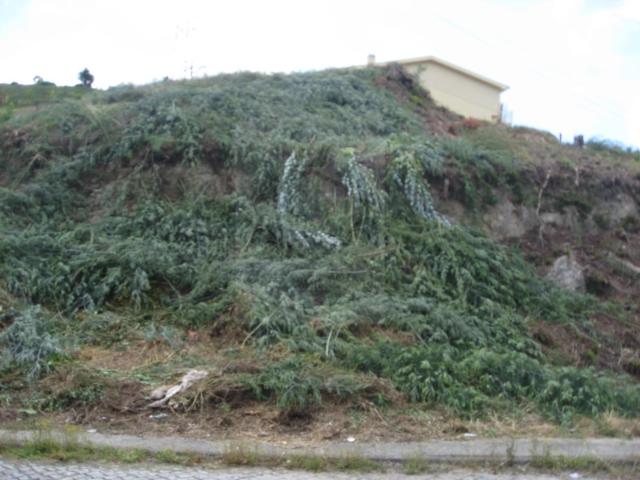 Terreno em Fermentões