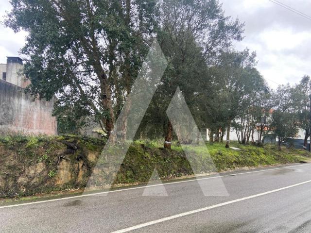 Terreno em Fermentelos