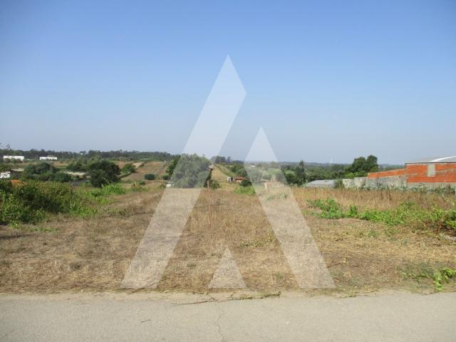Terreno em Fermentelos