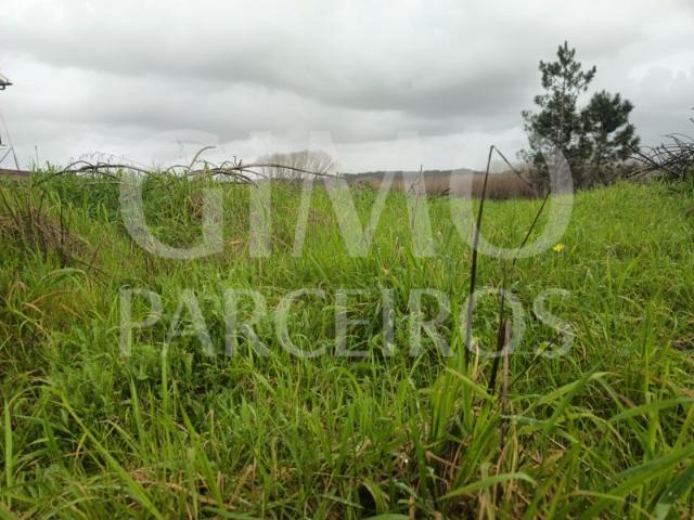 Terreno em Fermentelos