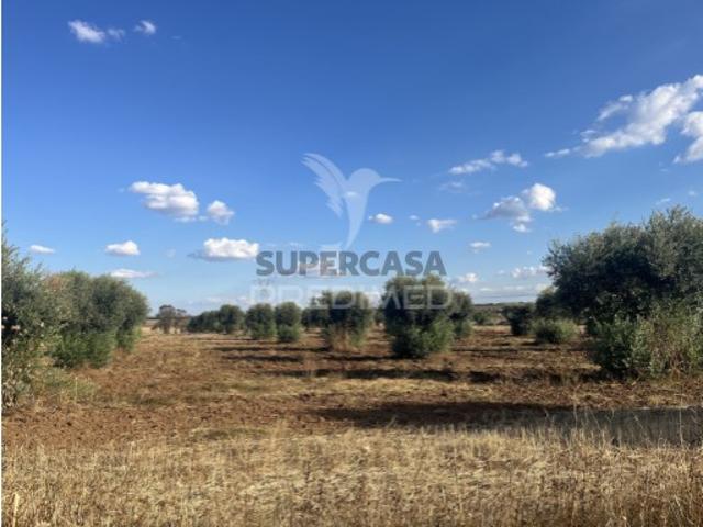Terreno em Peroguarda