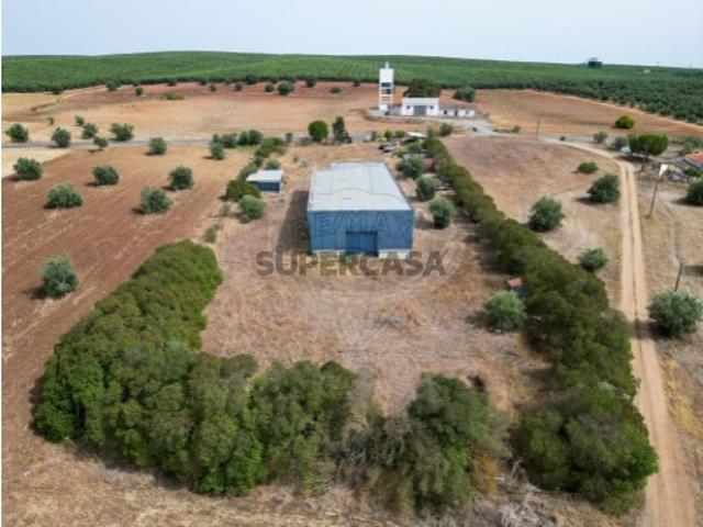 Terreno em Ferreira do Alentejo