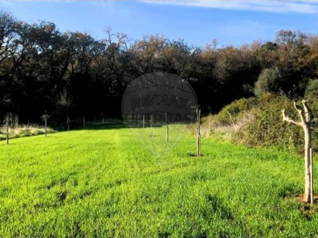 Terreno em Ferreira do Zêzere