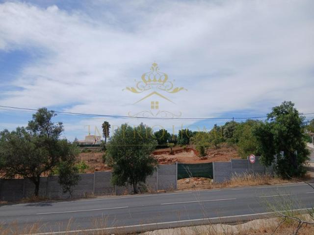 Terreno em Ferreiras