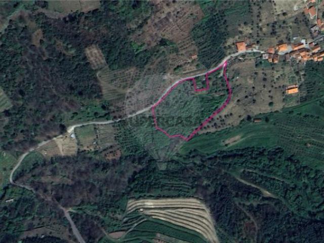 Terreno em Ferreiros de Avões