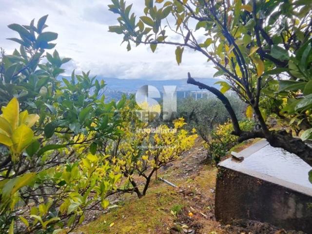 Terreno em Folhadela