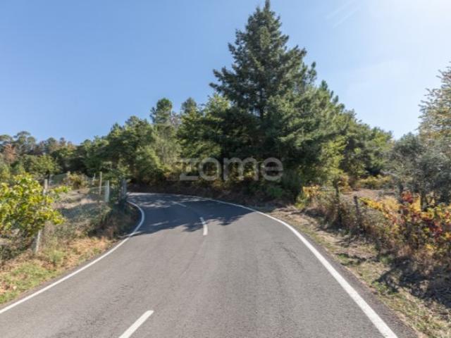 Terreno em Folques, Arganil