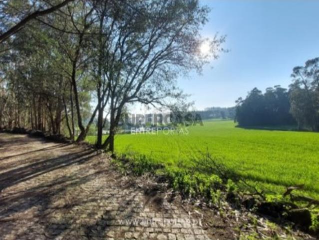 Terreno em Vairão
