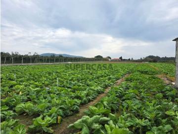 Terreno em Fornelos