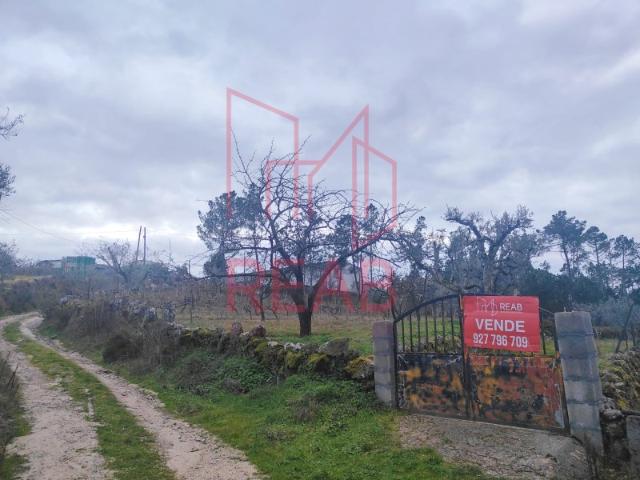 Terreno em Forninhos, Aguiar da Beira