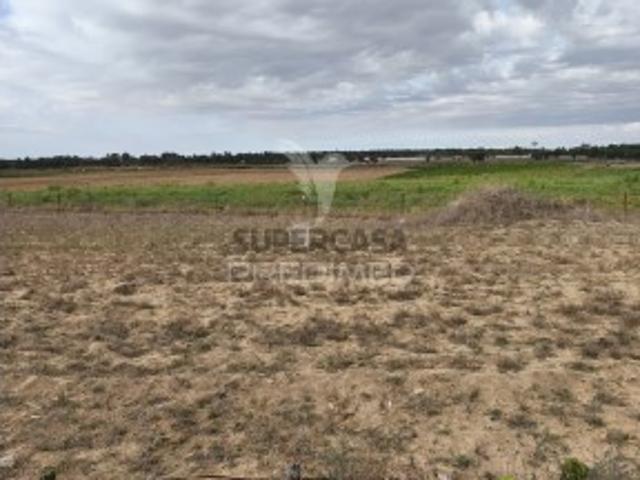 Terreno em Foros de Salvaterra