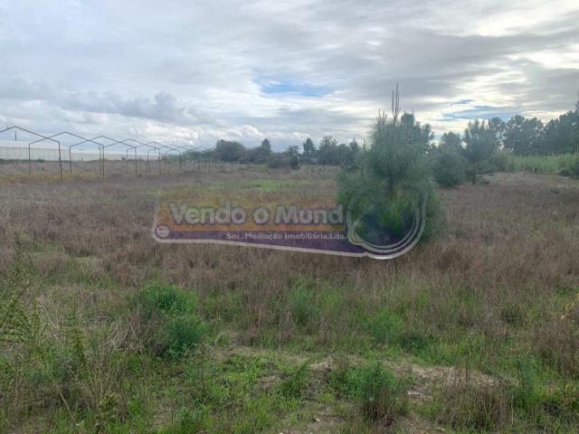 Terreno em Foros de Salvaterra F758