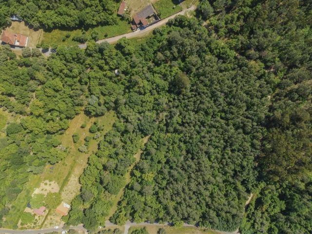 Terreno em Foz de Arouce, Lousã 2040m² por 48.500€