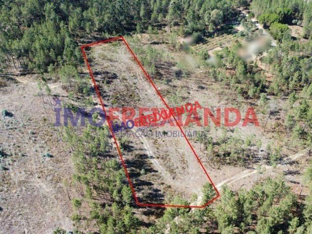 Terreno em Freixianda