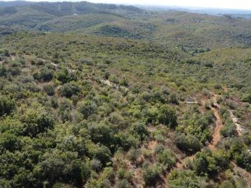Terreno em Freixianda, Ribeira do Fárrio e Formigais de 15939,00 m²