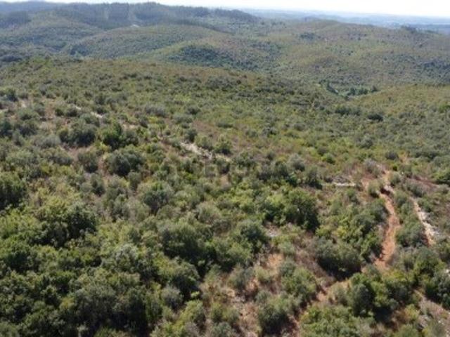 Terreno em Freixianda, Ribeira do Fárrio e Formigais de 15939,00 m²