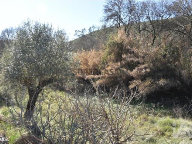 Terreno em Freixianda, Ribeira do Fárrio e Formigais de 2840,00 m²