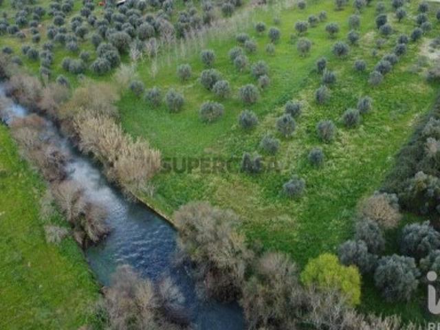 Terreno em Freixianda, Ribeira do Fárrio e Formigais de 6021,00 m²