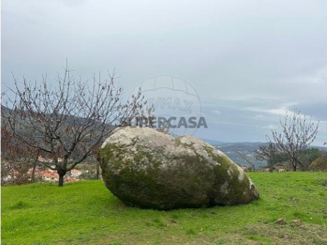 Terreno em Freigil e Miomães