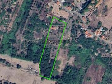 Terreno em Gucherre, Almoster, Santarém 11.880 m²