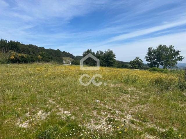 Terreno em Guimarães