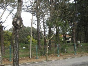 TERRENO COM PIP APROVADO A 350MTS DA PRAIA
