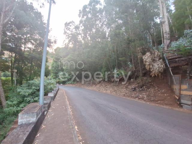 Terreno em Gaula com 2590m2, Madeira