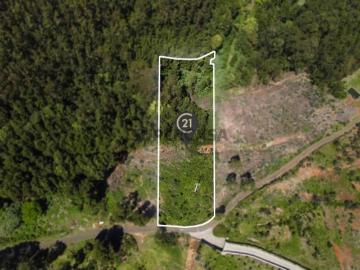 Terreno em Gaula com Vista Mar e Possibilidade de Construção